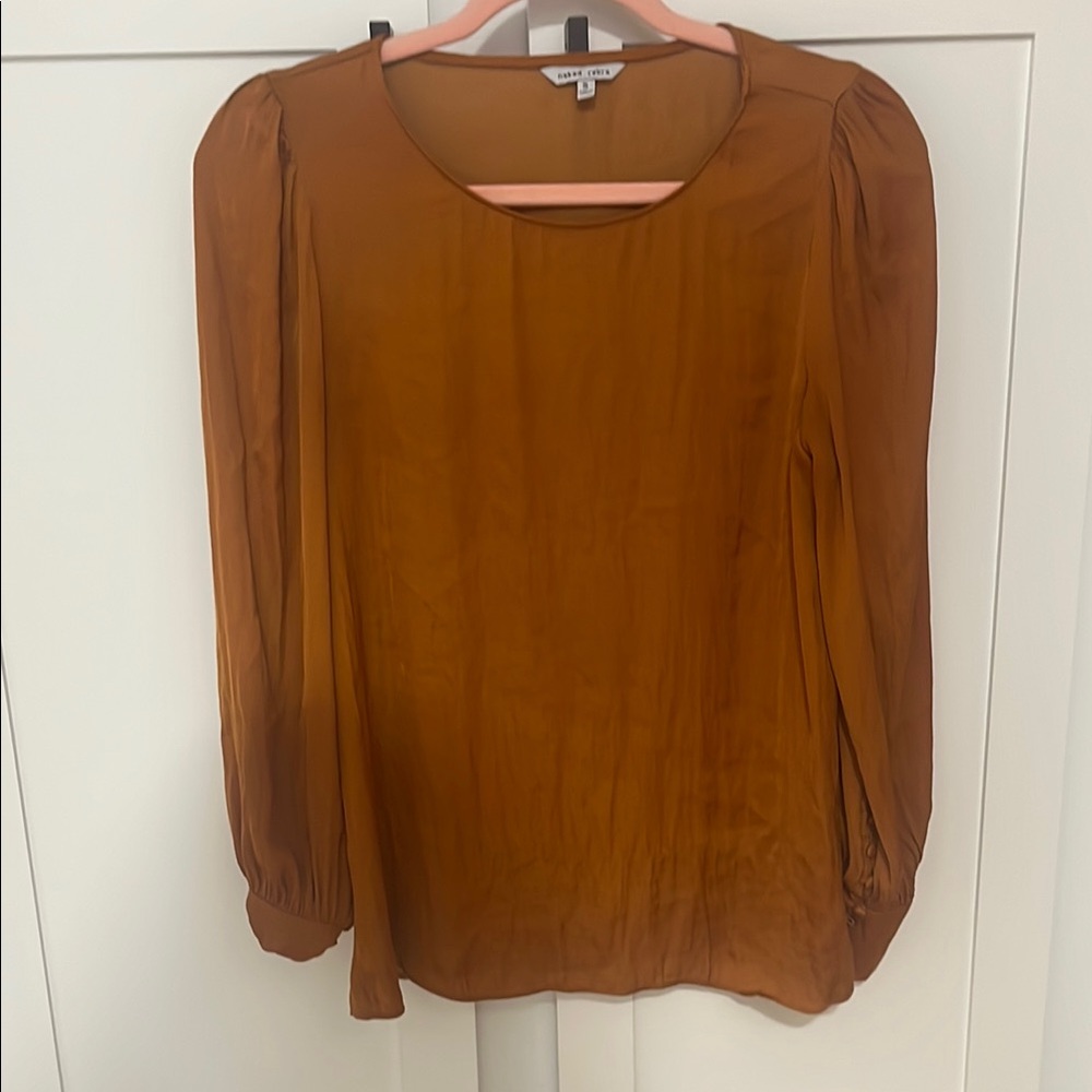 Womens Blouse Naked Zebra